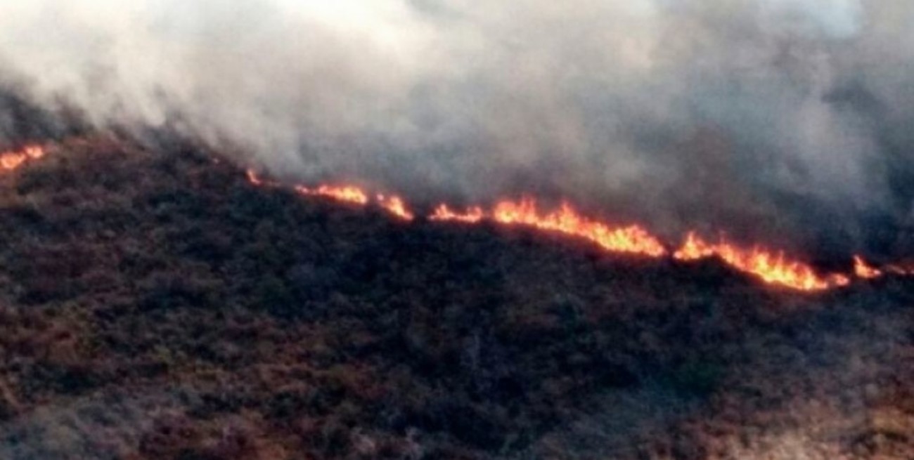 Focos de incendio activos en las provincias de Santa Fe, Santiago del Estero y La Rioja