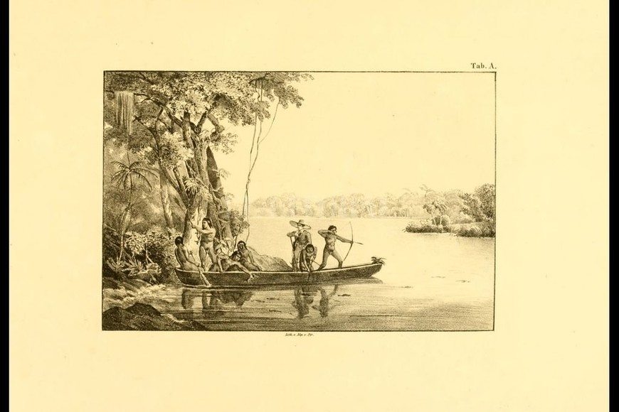 ELLITORAL_373777 |  Archivo