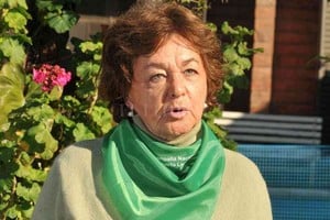 ELLITORAL_348301 |  Flavio Raina Mabel Busaniche ensaya una enumeración de los temas que vienen luego de la sanción de la ley de IVE.