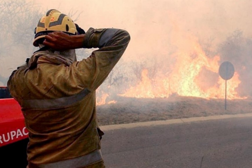 ELLITORAL_333787 |  Gentileza