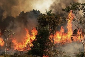 ELLITORAL_375346 |  Archivo El cacique Zapicano de la nación Charrúa, fue advertido por los observadores de la gruesa columna de humo que se levantaba en el horizonte noroeste.