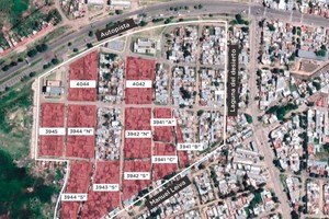 ELLITORAL_367589 |  Gentileza