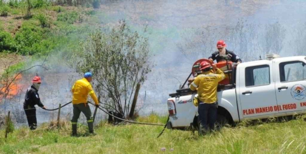 Entre Ríos registró un foco de incendio forestal activo