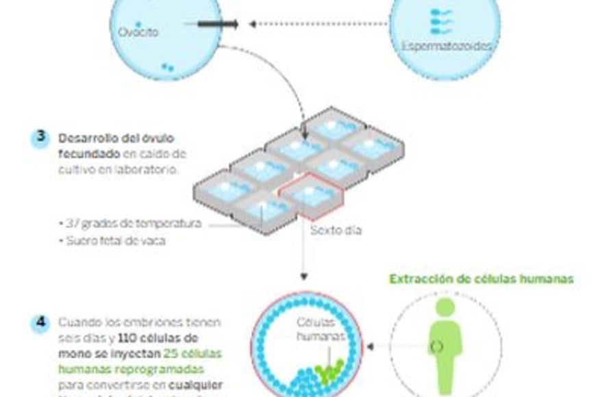 ELLITORAL_370088 |  El País