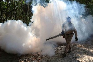 ELLITORAL_386884 |  Gentileza