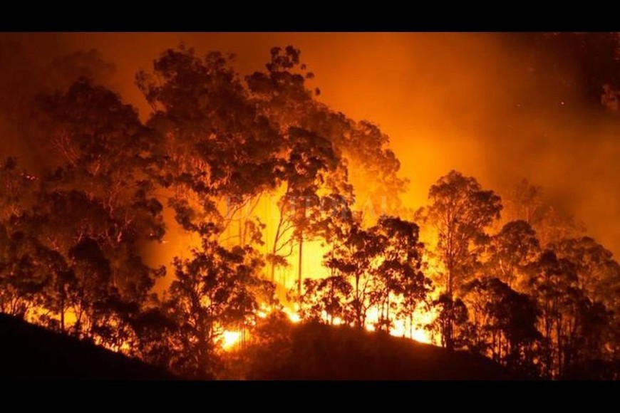 ELLITORAL_380000 |  Archivo