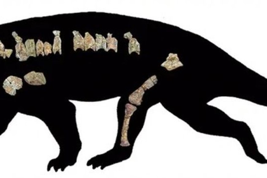 ELLITORAL_373607 |  Captura de pantalla