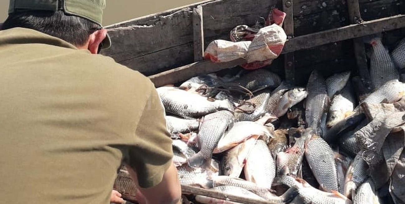 Santa Fe renovó la veda parcial de pesca comercial en el río Paraná