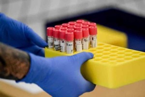 ELLITORAL_321250 |  Gentileza