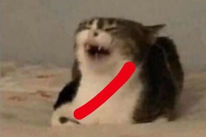 ELLITORAL_377683 |  Redes sociales.