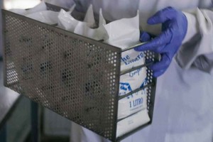 ELLITORAL_382522 |  Gentileza