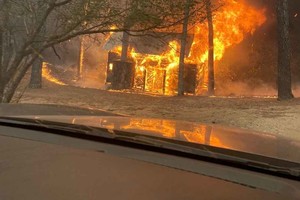 ELLITORAL_397900 |  Gentileza