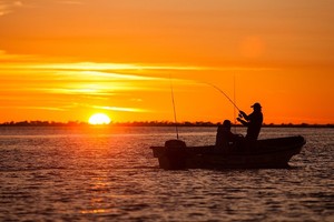 ELLITORAL_367738 |  Gentileza