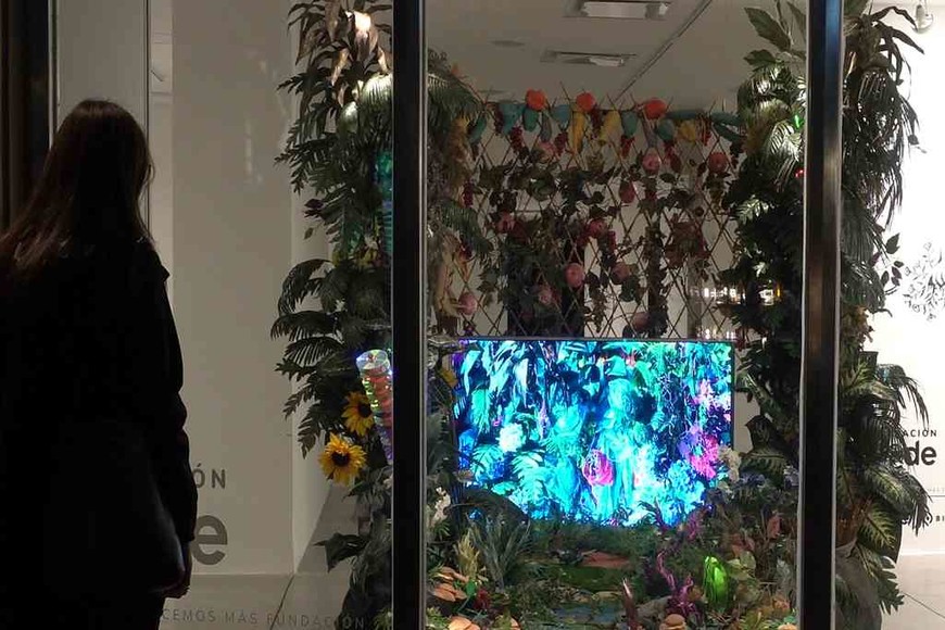 ELLITORAL_382943 |  Gentileza Interacción con el público, ya que este ciclo de exposiciones solo se puede ver desde la calle.