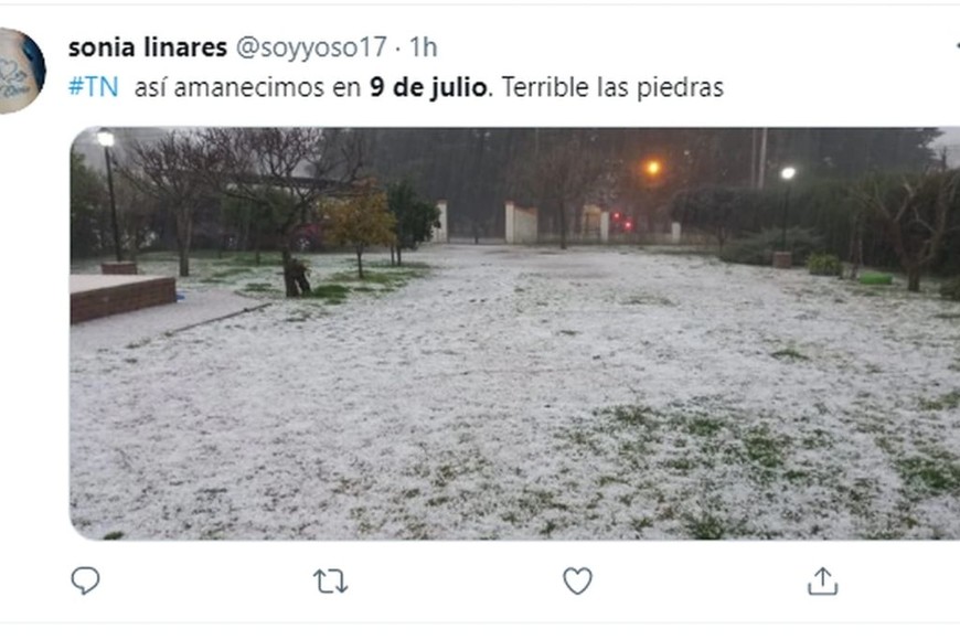 ELLITORAL_395667 |  Gentileza