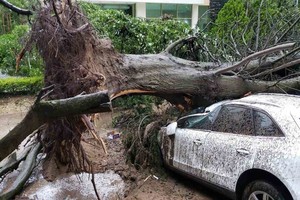 ELLITORAL_348394 |  Twitter