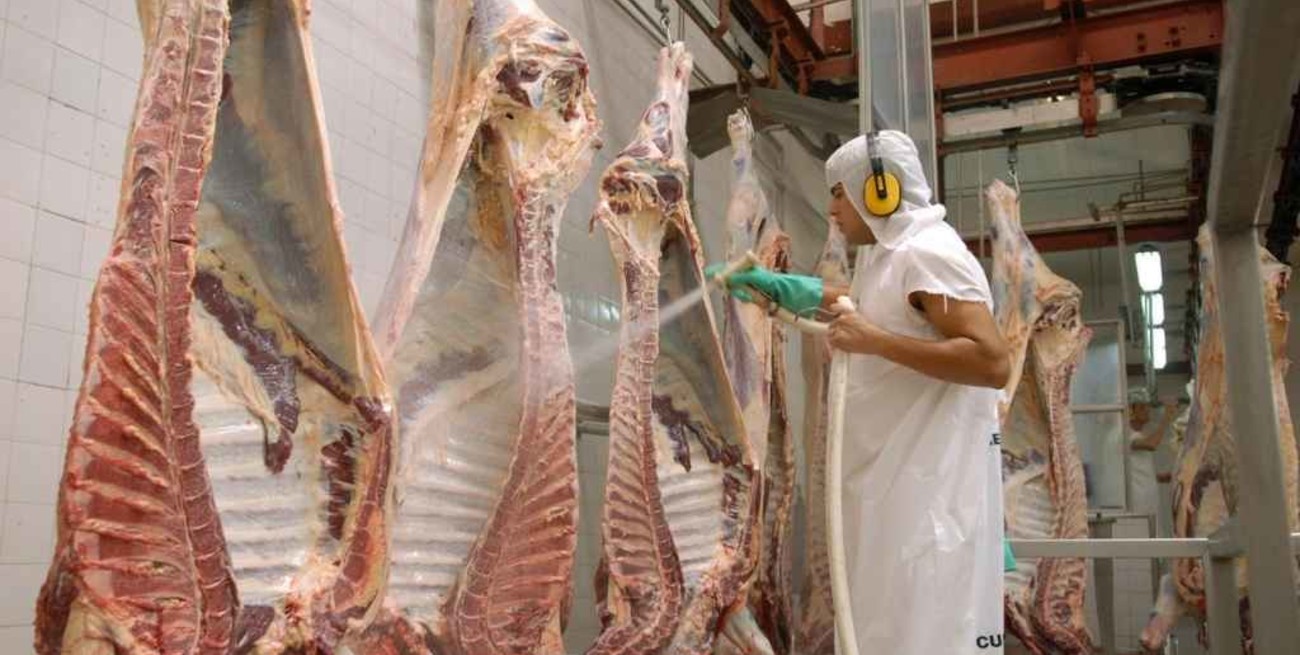 La Sociedad Rural volvió a cuestionar el cepo a las exportaciones de carne   