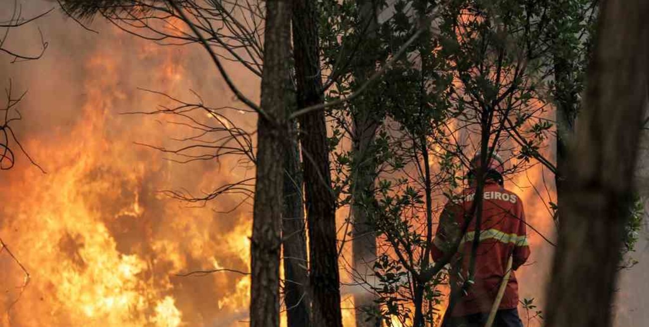 Miles de personas fueron evacuadas tras el incendio forestal en el sur de España