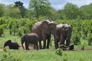 ELLITORAL_305425 |  Imagen ilustrativa