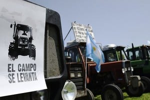 ELLITORAL_387858 |  Archivo