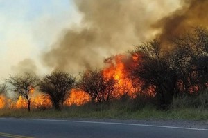 ELLITORAL_398889 |  Gentileza