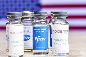 ELLITORAL_381139 |  Gentileza