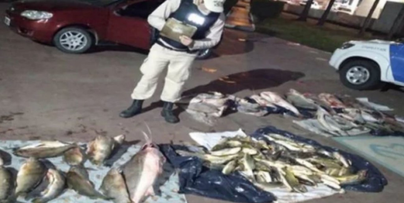 Secuestraron en Corrientes 400 kilos de pescados que eran trasladados de ilegalmente