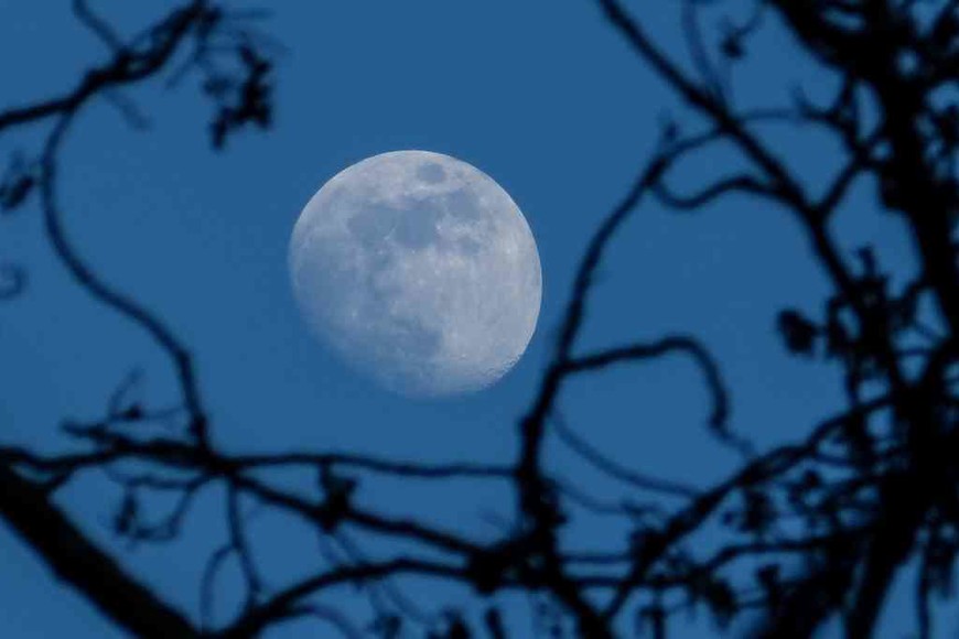 ELLITORAL_334677 |  Imagen ilustrativa