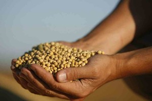 ELLITORAL_397853 |  Imagen ilustrativa