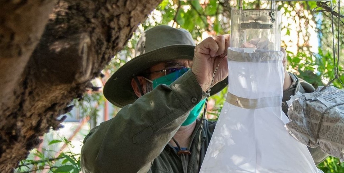 Investigan zonas propicias para los mosquitos en Córdoba