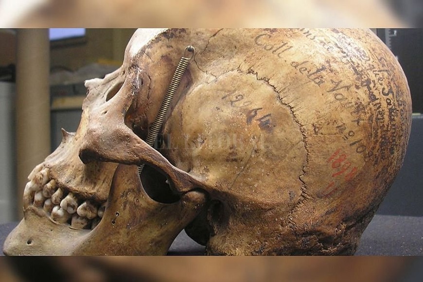 ELLITORAL_373943 |  Captura digital Restos de Liempichún Sakamata que serán devueltos a sus descendientes.