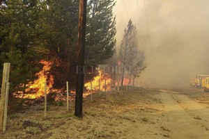 ELLITORAL_352521 |  NA