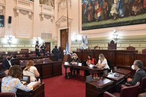 Flavio Raina En el recinto de la Cámara, y con muchos participantes en modo virtual, se planteó la necesidad de generar herramientas para abordar los nuevos desafíos.