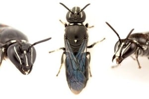 ELLITORAL_359812 |  Gentileza