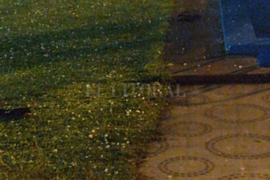 ELLITORAL_403799 |  Periodismo Ciudadano