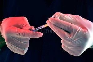 El Litoral. La persona que reciba la vacuna  va a tener un tenor de anticuerpos suficiente de modo tal de que cuando el virus quiera penetrar en su organismo, no lo podrá hacer , está convencido el epidemiólogo.