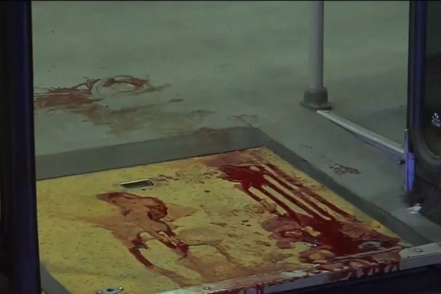 ELLITORAL_388181 |  Gentileza