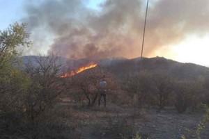 ELLITORAL_331046 |  Gentileza