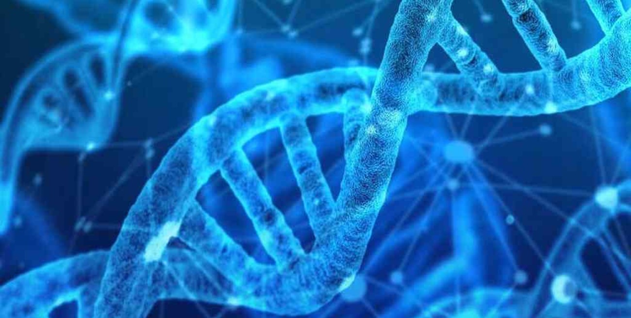La OMS publicó las primeras recomendaciones sobre la manipulación del ADN