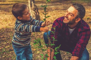 ELLITORAL_419304 |  Imagen Ilustrativa