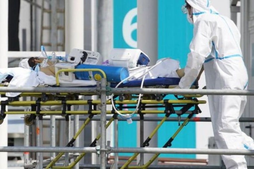 ELLITORAL_409963 |  Gentileza