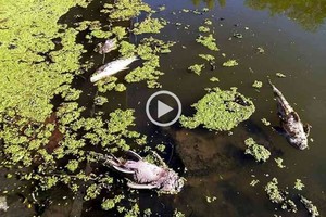 ELLITORAL_354438 |  Imagen ilustrativa