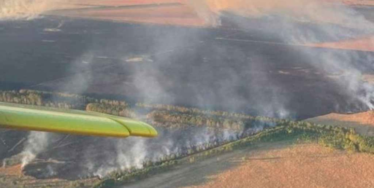 Nación destinará $ 500 millones para los productores afectados por incendios en Corrientes