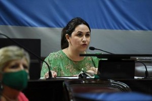 ELLITORAL_346959 |  Gentileza Ana Almirón, senadora correntina por el Frente de Todos