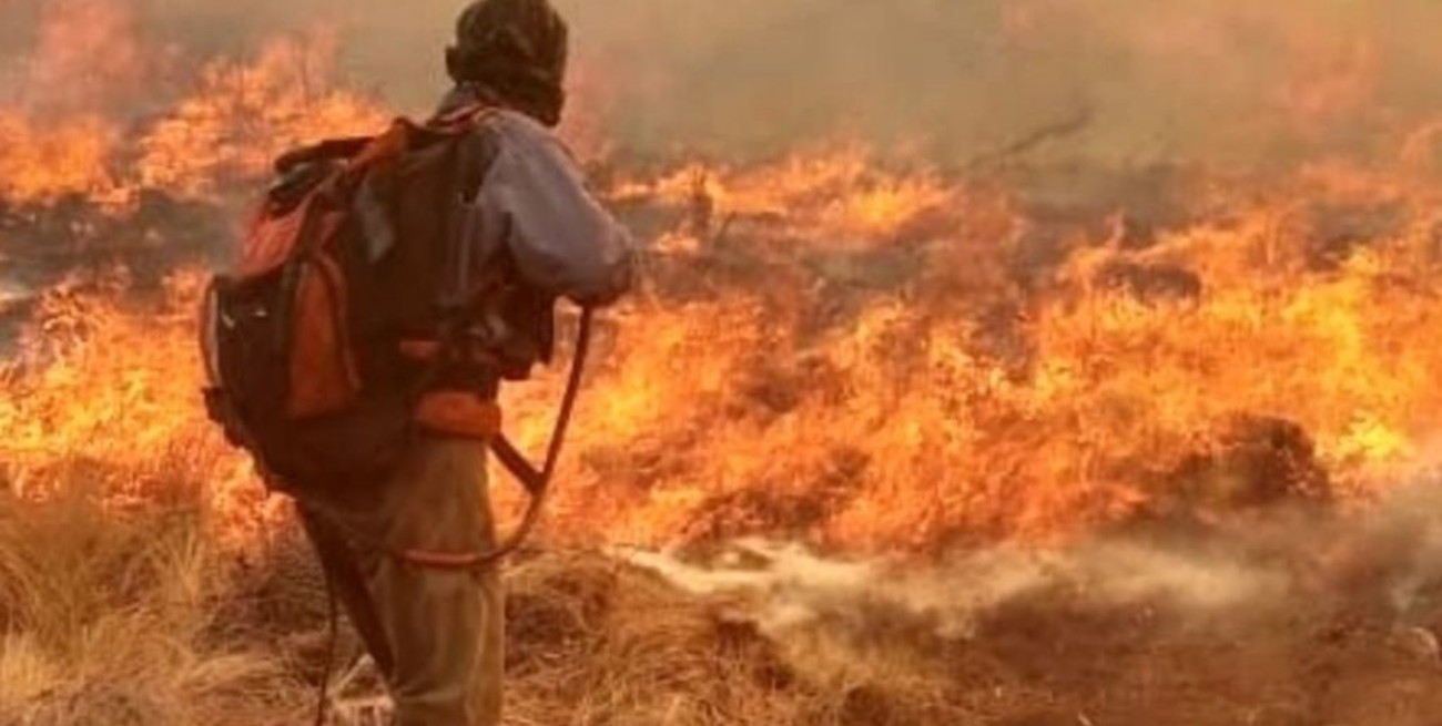 Registraron incendios forestales activos en cinco provincias