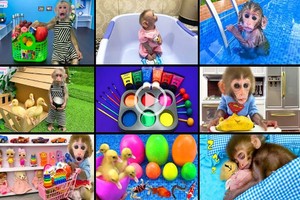 ELLITORAL_415668 |  Captura de pantalla