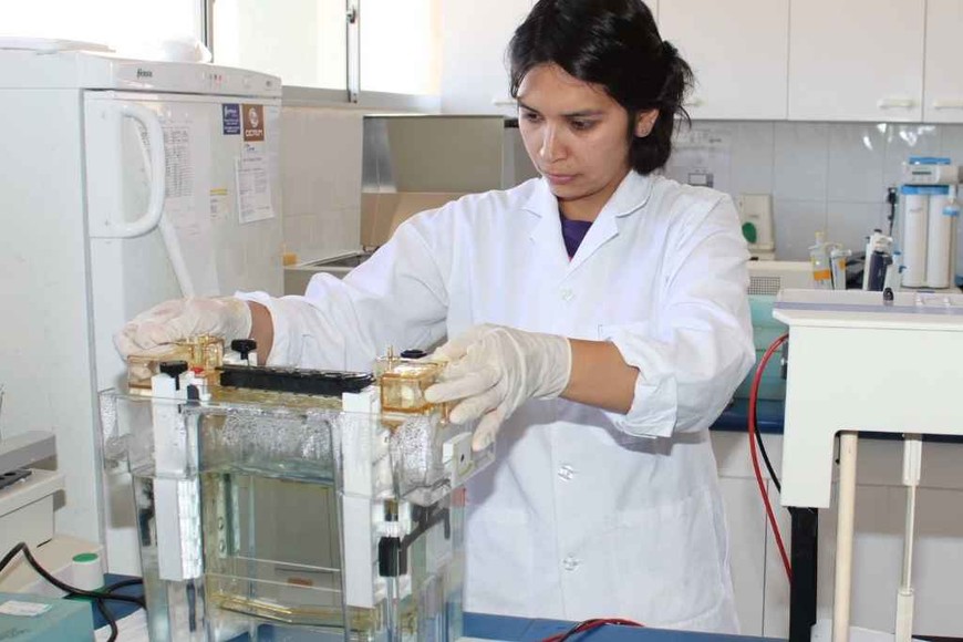 ELLITORAL_342219 |  Internet Cristina Dorador Ortiz, en pleno trabajo de laboratorio. Es microbióloga de la Universidad de Antofagasta.