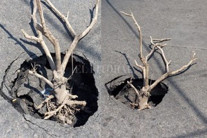 ELLITORAL_430826 |  El Litoral D.R