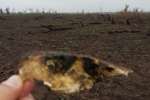 Gentileza Observatorio Ambiental La base es utilizada por todos aquellos profesionales que estén involucrados en la cuestión ambiental y que particularmente estudien las islas.