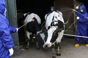 ELLITORAL_326232 |  Archivo Imagen ilustrativa.